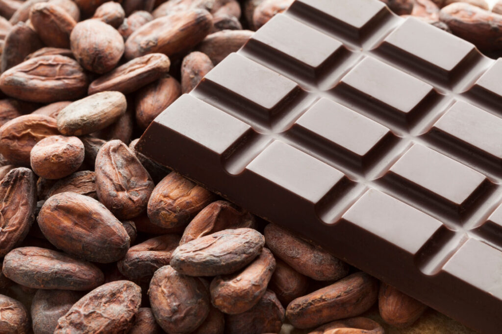 The hidden climate cost of Christmas chocolate